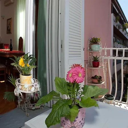 Appartement Cro Jet Set